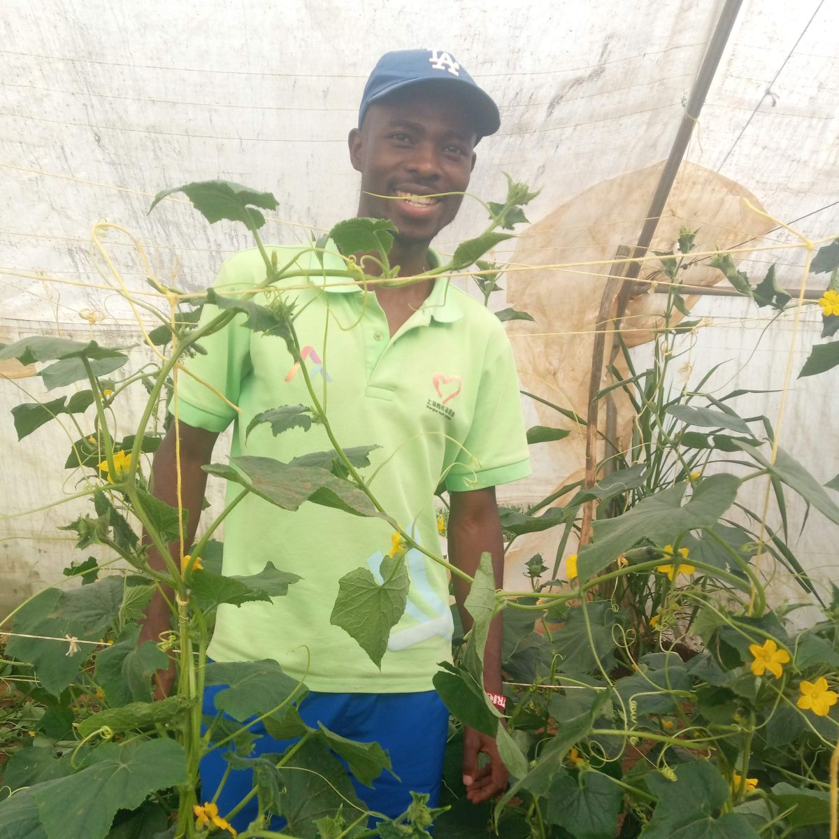 Kathurima Mwongera in his greenhouse in Gakawa , Kenya.jpg
